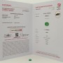 ÉMERAUDE OVALE de 1,71 CARAT en BLISTER CERTIFIÉ GFCO GEM LAB