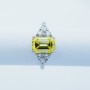 18kt Gold Ring with Certified Diamonds - Model (flash)