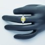 18kt Gold Ring with Certified Diamonds - Model (flash)