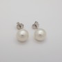 ORECCHNI PERLE AUSTRALIA WHITE Misura 10 - 10.5 mm - ORO BIANCO 18 KT