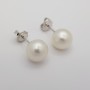 ORECCHNI PERLE AUSTRALIA WHITE Misura 10 - 10.5 mm - ORO BIANCO 18 KT