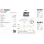 Diamant certifié IGI 0.70 F VS1- REP.607383763 INSCRIPTION LASER