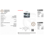 Diamant certifié IGI 0,50 E VS2 - REP.670448670 INSCRIPTION LASER