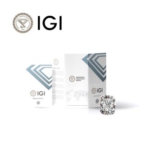 Diamante Certificato IGI 1.30 E SI1 - REP.732555224 LASER INSCRIPTION