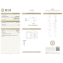 Diamond Certified GIA 1.01 E SI2 - REP.2527360285 LASER INSCRIPTION