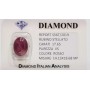Étoile Rouge Rubis 17.65 carats en BLISTER certifié
