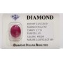 Étoile Rouge Rubis 17.15 carats en BLISTER certifié