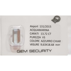 Aigue-marine taille ÉMERAUDE 13.72 CT en BLISTER