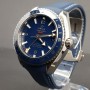 Omega Seamaster Planet Ocean Gmt Whit Card true Good Condition Titanium aefr258